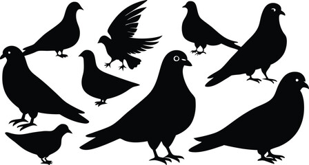 Obraz premium silhouettes of pigeons in various poses vector illustration silhouette, Print