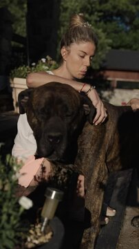 A woman embraces her large mastiff canario dog in a sunny garden while enjoying