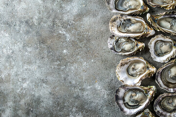 Oysters, with empty copy space