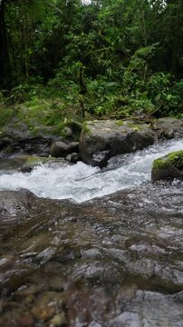 Corriente de r&iacute;o bajando por la monta&ntilde;a rodeado de mucha vegetaci&oacute;n y rocas en el bosque tropical en c&aacute;mara lenta