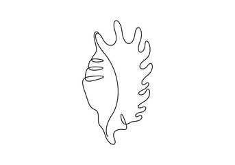 Seashell continuous one line drawing vector illustration
