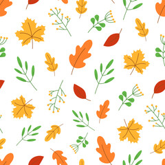 Seamless pattern with colored autumn leaves on a white background