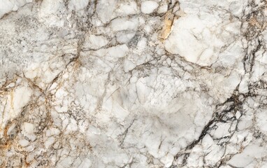 Highly detaidel marble texture