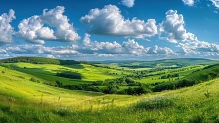 Obraz premium A panoramic view of rolling green hills and meadows under a bright blue sky dotted with puffy white clouds
