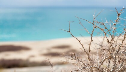 Fototapeta premium desert with water in the background 