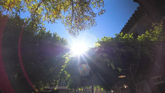 Sunlight streams through the lush greenery of a garden at Maison Goult, France, creating a serene and natural atmosphere. The scene captures the harmony between light and nature.