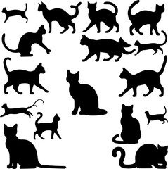Cats silhouette vector image