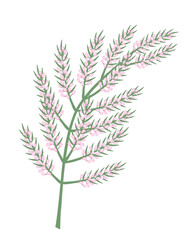 Wildflower. Branch. Color vector illustration.