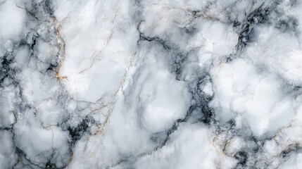 Obraz premium White and Grey Marble Texture with Golden Veins