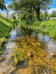 Welna River