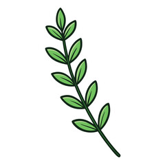 Thyme leaf clip art, vector illustration on white background