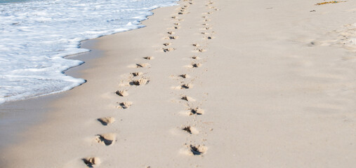 A trail on the beach of footprints marked as a path.