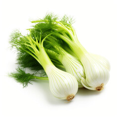 Fresh fennel bulbs isolated on white background high quality photo