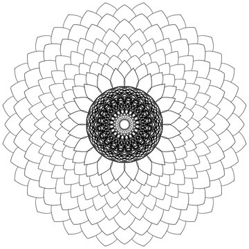 Mandala coloring page for adults, botanical mandala coloring page for adults. Hand-drawn floral line art mandala coloring page for adults. Coloring page for stress relief. Bohemian, tattoo.