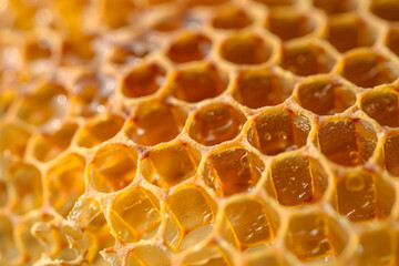 Golden Honeycomb Texture Background Photo: Close-Up of Sweet Honeycomb Cells