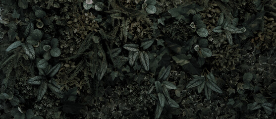 abstract green leaf texture, tropical leaf foliage nature dark green background.