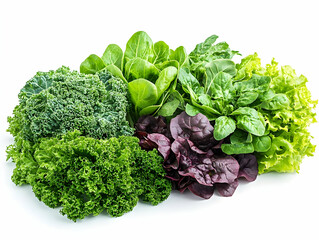Fresh Green Kale, Lettuce, and Spinach Photo - Leafy Green Vegetables