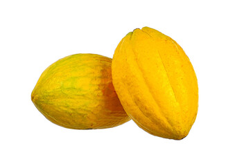 cocoa isolated on white background