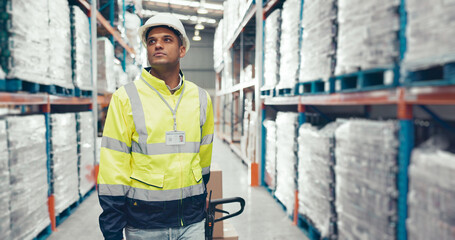Logistics, man and trolley in warehouse with packaging, storage and shelf for loading. Export,...
