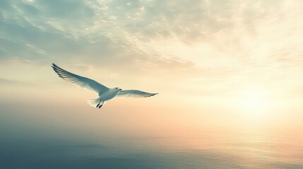 Fototapeta premium Seagull soars peacefully over a serene ocean at sunrise, symbolizing freedom, tranquility, and connection with nature.