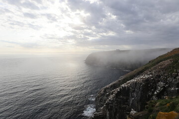 Cliffs at the Gannet Colony at Cape St. Mary's Ecological Reserve, Avalon, Newfoundland