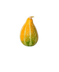 Decorative pumpkin isolated on transparent background. Variety of ornamental, edible and decorative gourd.