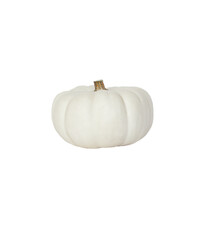 Decorative pumpkin isolated on transparent background. Variety of ornamental, edible and decorative gourd.