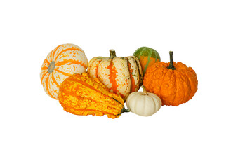 Set of decorative pumpkins isolated on transparent background. Variety of ornamental, edible and...