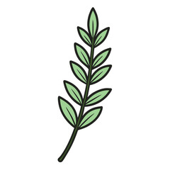 Thyme leaf clip art, vector illustration on white background