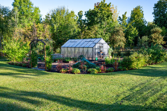 Morning light in garden with lawn and vegetable area