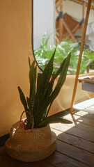 A detailed close-up of a potted plant in a woven basket placed inside a tent with an african background, highlighting an adventurous and natural camping experience.