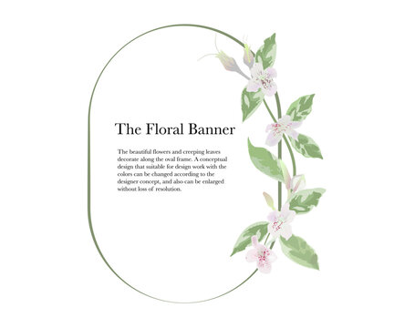 graptophyllum foliage or caricature plant floral frame isolated on white background