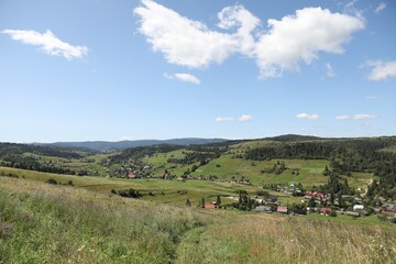 Fototapeta premium Picturesque view of houses and forest in mountains under blue sky