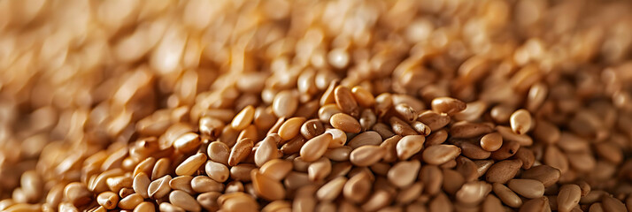 Obraz premium Macro Photo of Sesame Seeds