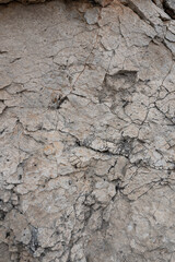 Stone texture. Gray natural rock. Perfect for background.