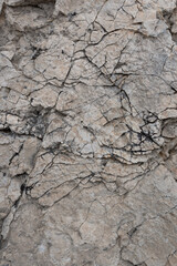 Stone texture. Gray natural rock. Perfect for background.