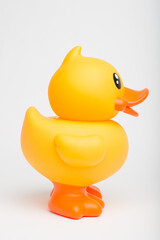 Rubber, duck and toy in studio for pool, playing and children entertainment with fun squeaky sound. Plastic bird, object and white background for kids, bath and water with childhood games or activity