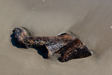 Lidi di Comacchio Adriatic Sea beach and regional park Po Delta storm in summer