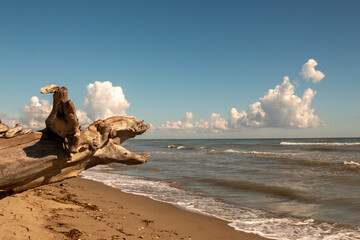 Lidi di Comacchio Adriatic Sea beach and regional park Po Delta storm in summer