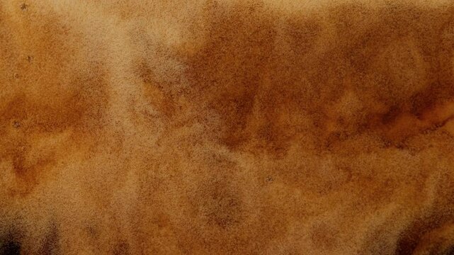 Super Slow Motion Detail Shot of Pouring Fresh Creamy Coffee at 1000fps.