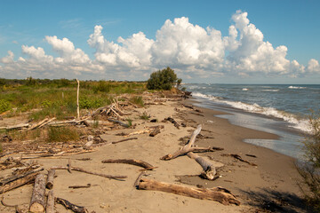 Lidi di Comacchio Adriatic Sea beach and regional park Po Delta storm in summer