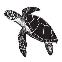 Fototapeta premium Turtle in cartoon, doodle style . Image for t-shirt, web, mobile apps and ui. Isolated 2d vector illustration in logo, icon, sketch style, Eps 10, black and white. AI Generative