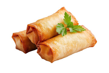 Crispy fried spring rolls filled with delicious vegetables. Perfect for appetizers or snacks, garnished with fresh herbs.