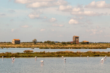 Lidi di Comacchio Adriatic Sea beach and regional park Po Delta storm in summer