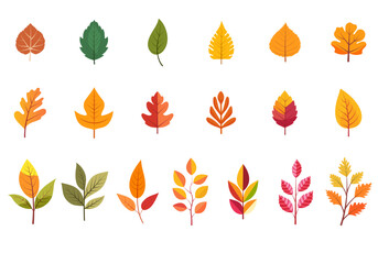 Set of colorful autumn leaves on white background. Flat vector illustration.