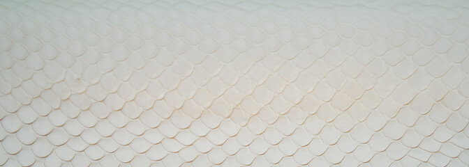 white snake skin banner