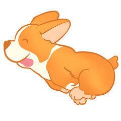 Shiba