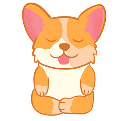 Shiba