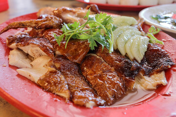 Asian Hainanese steam roasted chicken rice slice cut peaces served with sliced cucumber Chinese parsley on light soya sauce