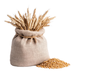 A burlap sack filled with golden grains and wheat stalks, symbolizing harvest and agriculture.